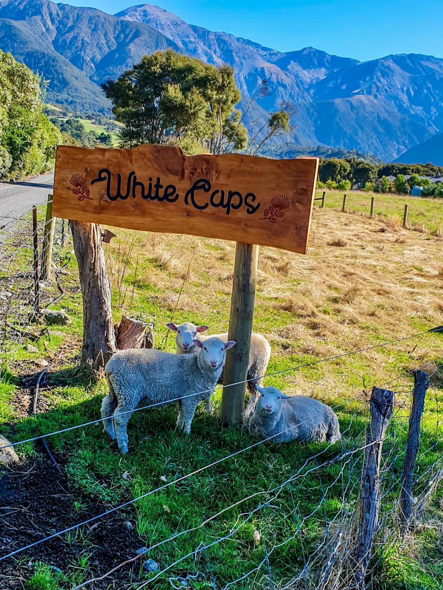 White Caps Kaikoura Farmstay Extérieur photo